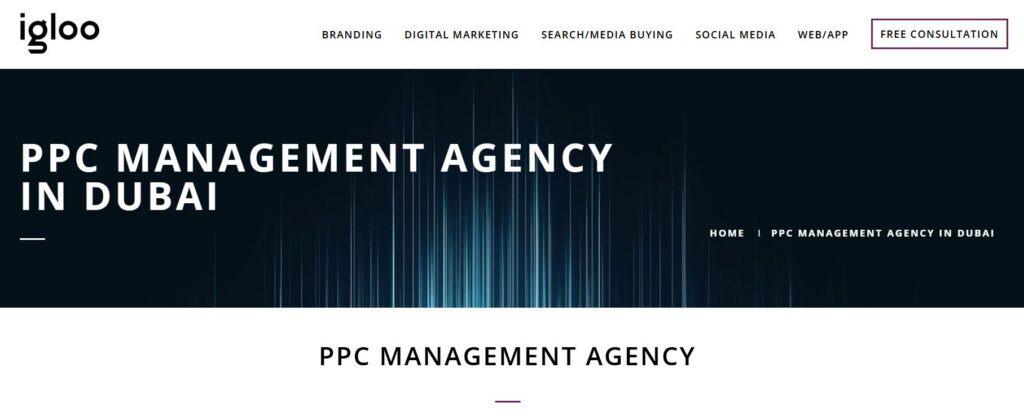 Igloo PPC Management